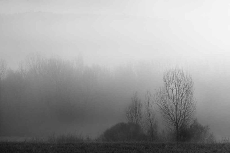 the mist.jpg